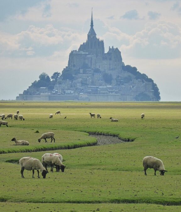 E7 Pré-salé ,Le Mont Saint-Michel