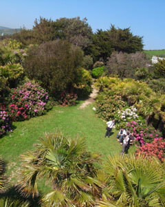 visite JARDIN DE VAUVILLE