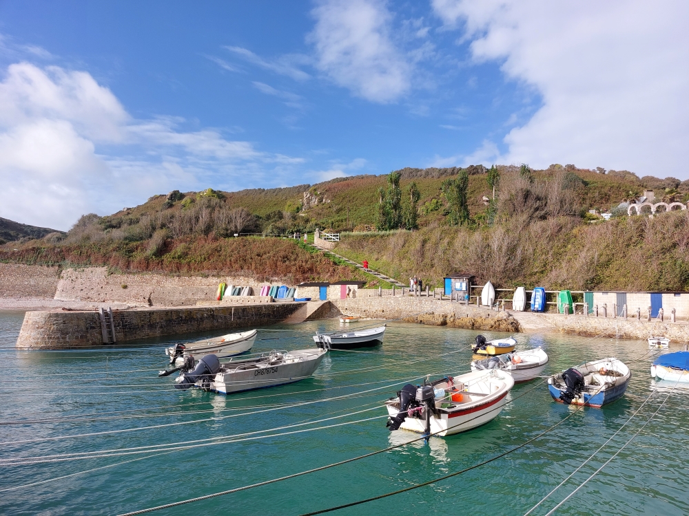 PORT RACINE excursion journée groupe