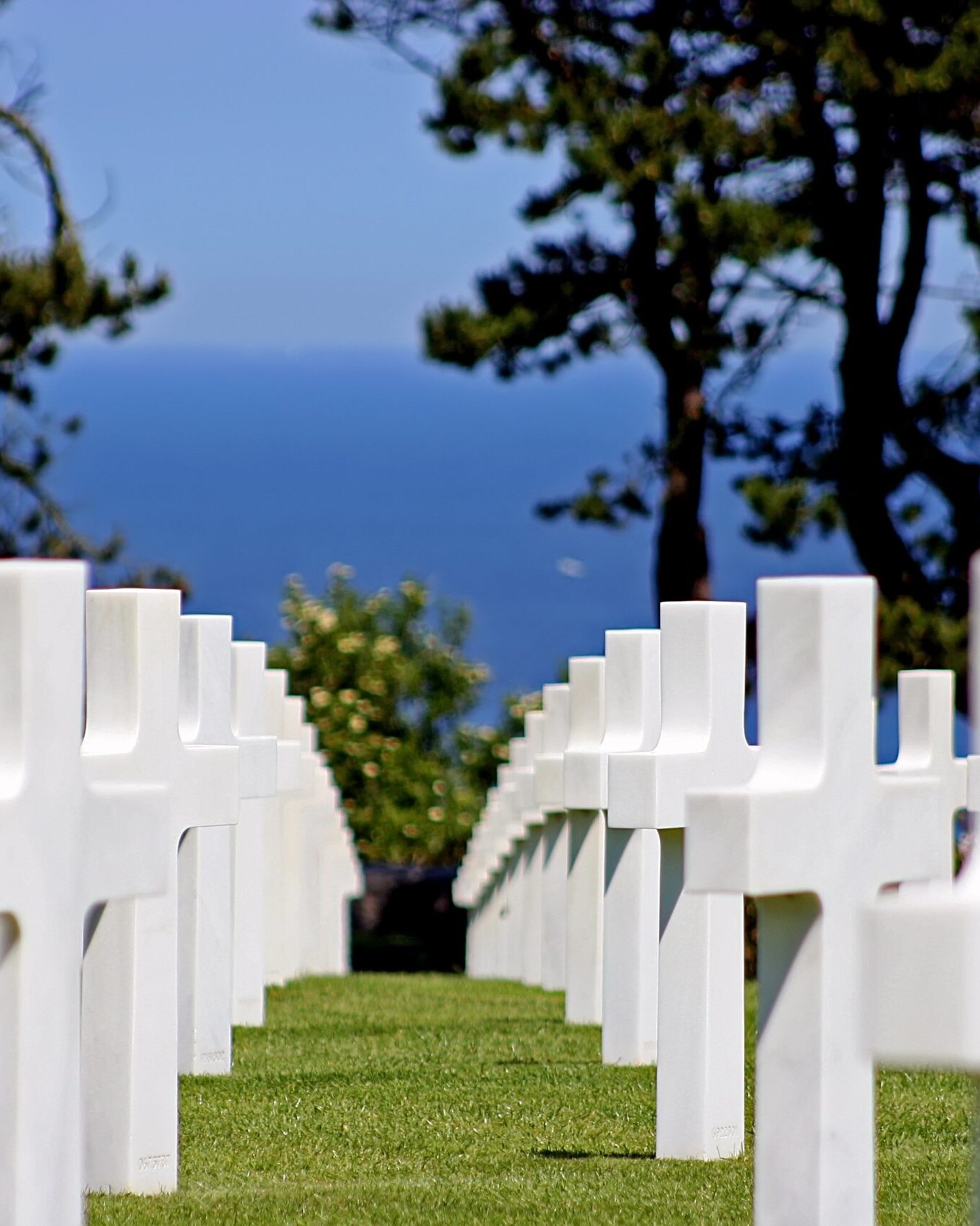 excursion groupe cimetiere americain COLLEVILLESURMER