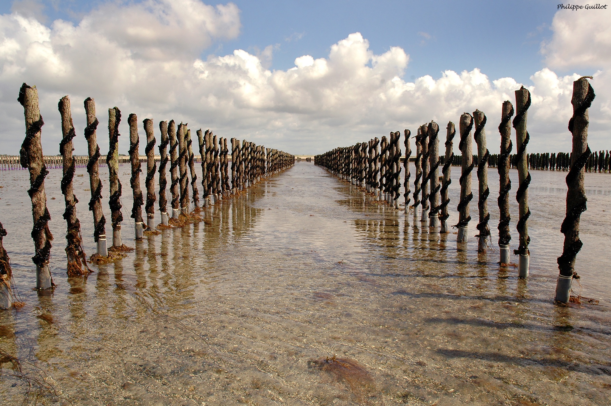 visite groupe TRAIN MARIN