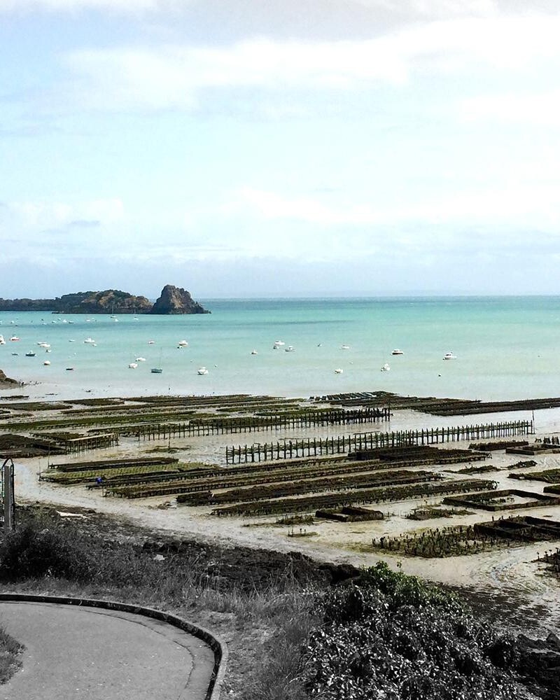 ferme marine cancale